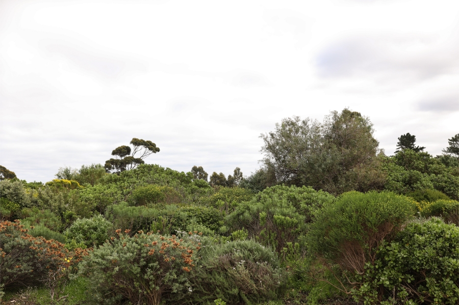 3 Bedroom Property for Sale in Somerset Forest Western Cape